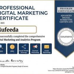 Best Freelance Digital Marketer in Malappuram